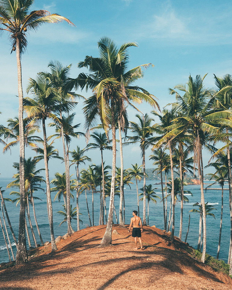 Epicurean Delights: Indulging in a Culinary Lifestyle